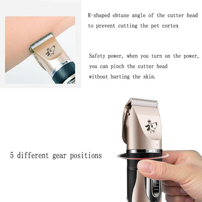 HTB1zu84UNnaK1RjSZFtq6zC2VXam