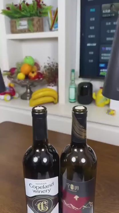 電動ワインボトルオープナーセット