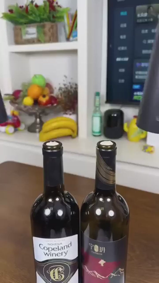 電動ワインボトルオープナーセット